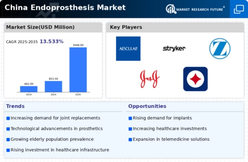 China Endoprosthesis Market Infographic