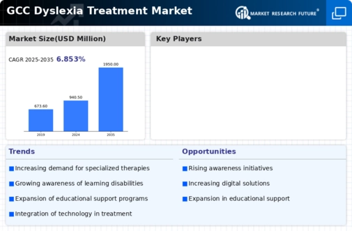 GCC Dyslexia Treatment Market Infographic