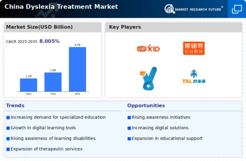 China Dyslexia Treatment Market Infographic