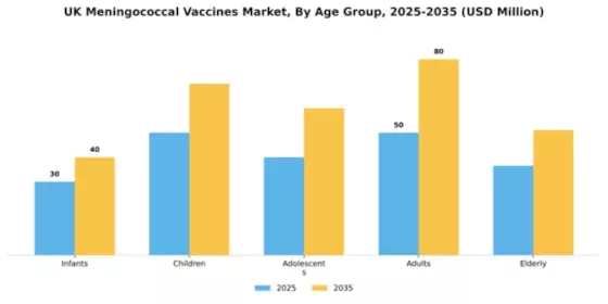 UK Meningococcal Vaccines Market Segment Image 0