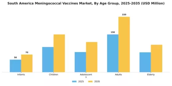 South America Meningococcal Vaccines Market Segment Image 0