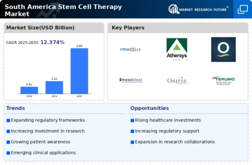 South America Stem Cell Therapy Market Infographic