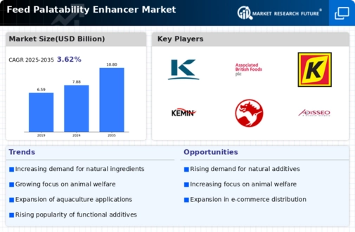 Feed Palatability Enhancers Market Infographic