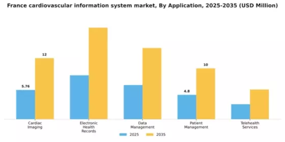 France Cardiovascular Information System Market Segment Image 0