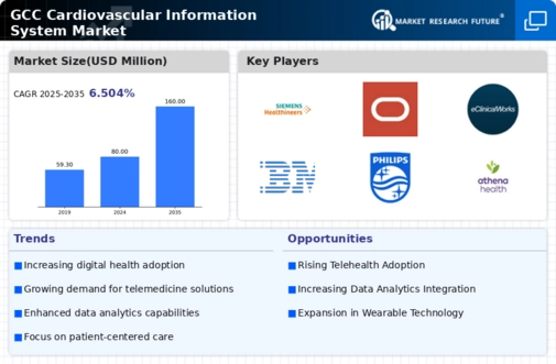 GCC Cardiovascular Information System Market Infographic