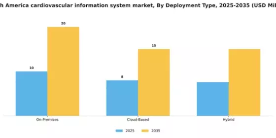 South America Cardiovascular Information System Market Segment Image 2