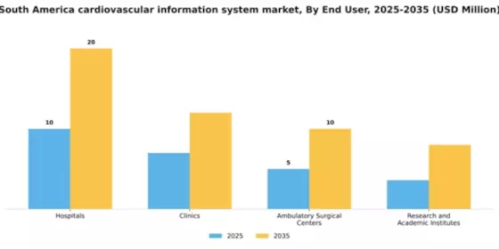 South America Cardiovascular Information System Market Segment Image 3