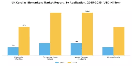 UK Cardiac Biomarkers Market Segment Image 0
