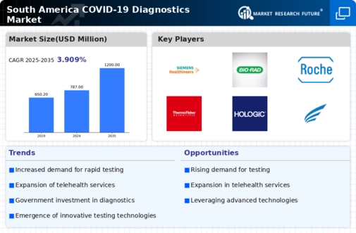 South America COVID 19 Diagnostics Market Infographic