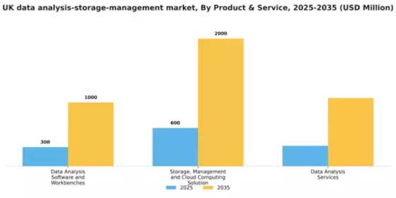 UK Data Analysis Storage Management Market Segment Image 2