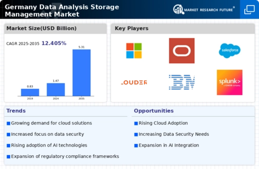 Germany Data Analysis Storage Management Market Infographic