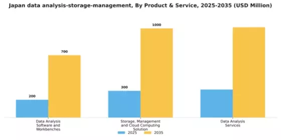 Japan Data Analysis Storage Management Market Segment Image 2