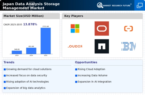 Japan Data Analysis Storage Management Market Infographic