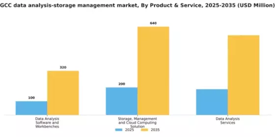 GCC Data Analysis Storage Management Market Segment Image 2