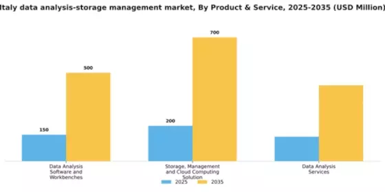 Italy Data Analysis Storage Management Market Segment Image 2