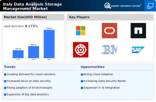 Italy Data Analysis Storage Management Market Infographic