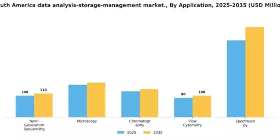 South America Data Analysis Storage Management Market Segment Image 0