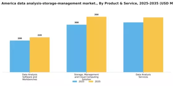 South America Data Analysis Storage Management Market Segment Image 2