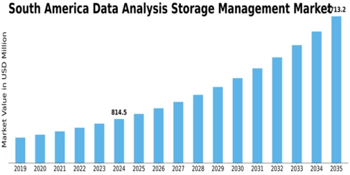South America Data Analysis Storage Management Market Size