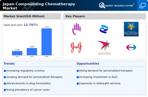 Japan Compounding Chemotherapy Market Infographic