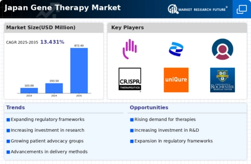 Japan Gene Therapy Market Infographic