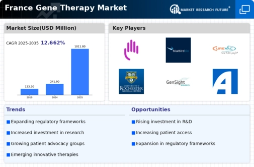 France Gene Therapy Market Infographic
