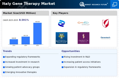 Italy Gene Therapy Market Infographic