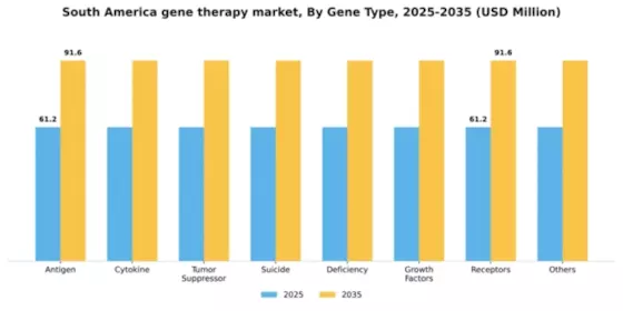 South America Gene Therapy Market Segment Image 2