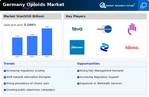 Germany Opioids Market Infographic