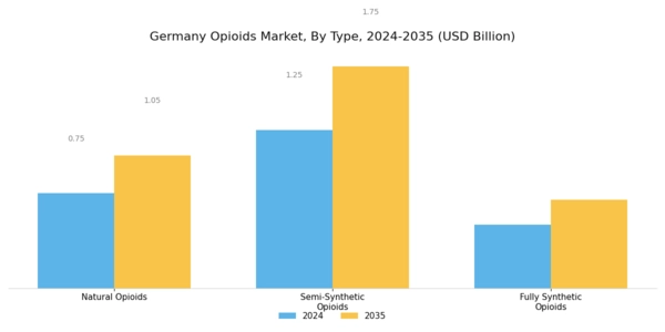 Germany Opioids Market Segment Image 0
