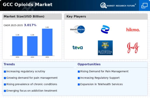 GCC Opioids Market Infographic