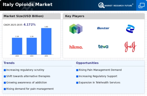 Italy Opioids Market Infographic
