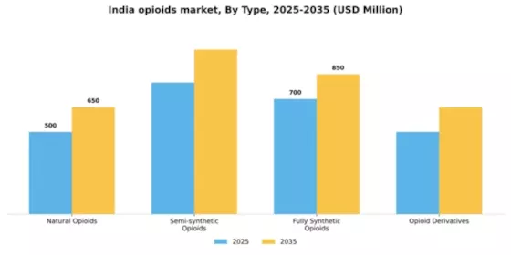 India Opioids Market Segment Image 3