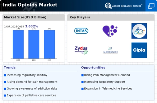 India Opioids Market Infographic