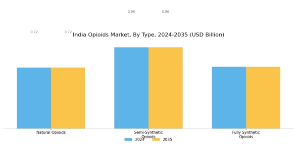 India Opioids Market Segment Image 0