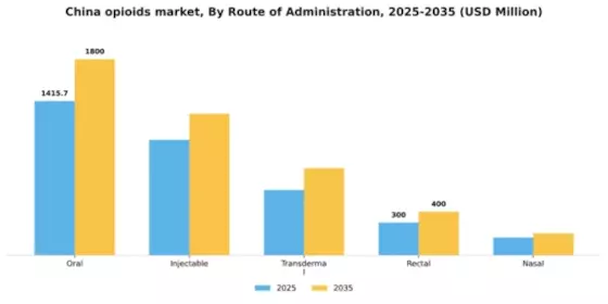 China Opioids Market Segment Image 1