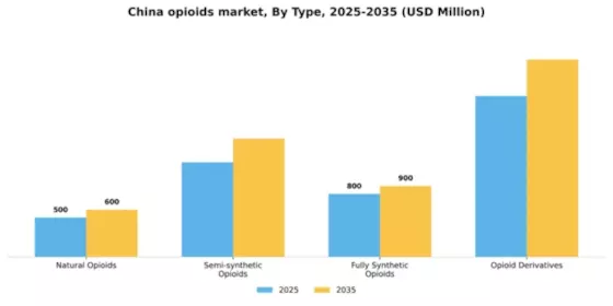China Opioids Market Segment Image 3