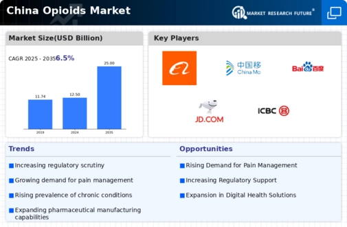 China Opioids Market Infographic