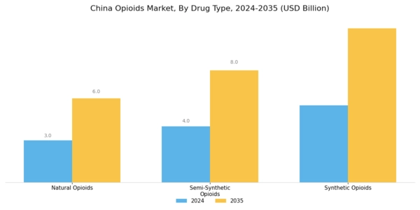 China Opioids Market Segment Image 1