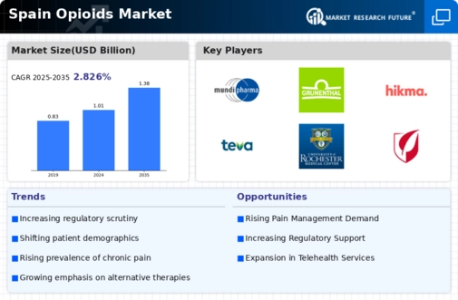 Spain Opioids Market Infographic