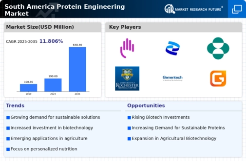 South America Protein Engineering Market Infographic