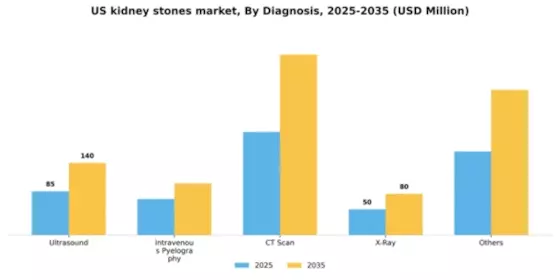 US Kidney Stones Market Segment Image 0