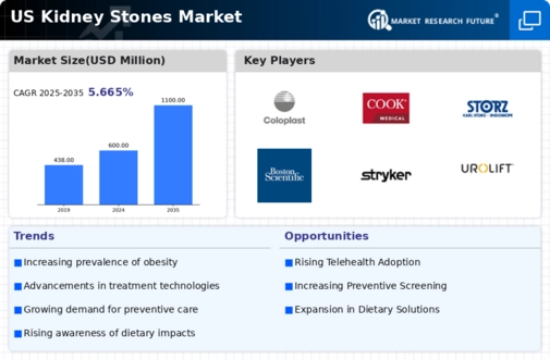 US Kidney Stones Market Infographic