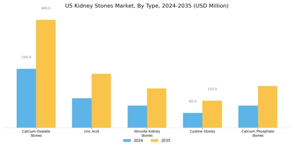 US Kidney Stones Market Segment Image 0