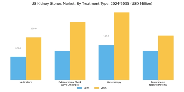 US Kidney Stones Market Segment Image 1