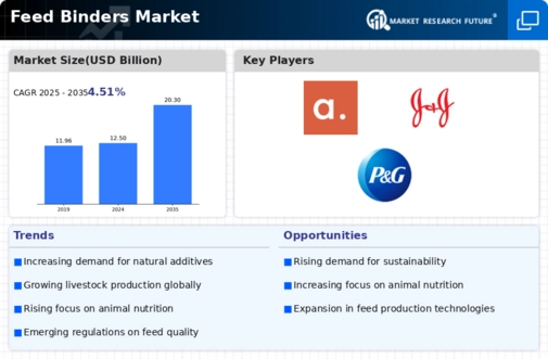 Feed Binders Market Infographic