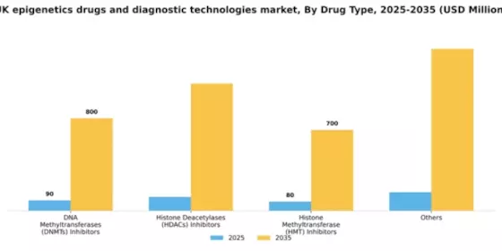 UK Epigenetics Drugs Diagnostic Technologies Market Segment Image 2