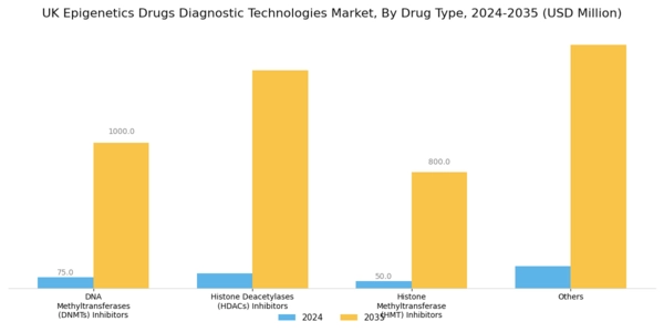 UK Epigenetics Drugs Diagnostic Technologies Market Segment Image 0