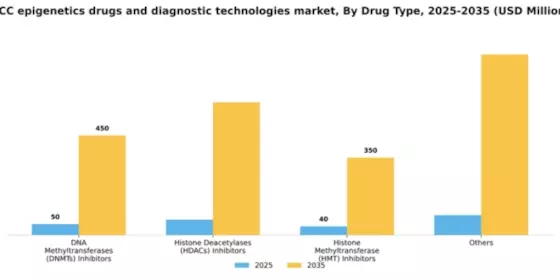 GCC Epigenetics Drugs Diagnostic Technologies Market Segment Image 2