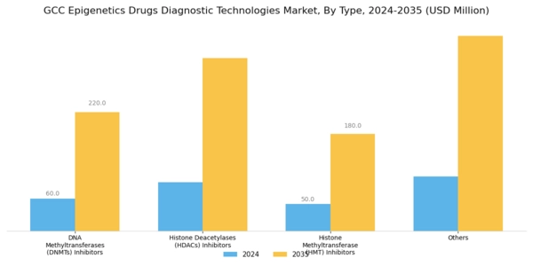 GCC Epigenetics Drugs Diagnostic Technologies Market Segment Image 0